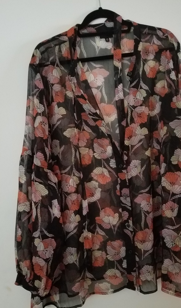 Sheer long sleeve blouse